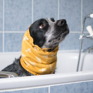 Drying Snoods
