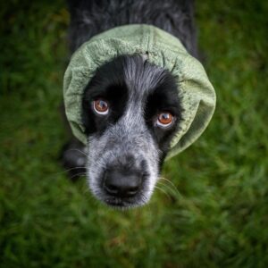 Water-Resistant Snoods - New Designs Coming Soon!