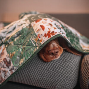 Blankets
