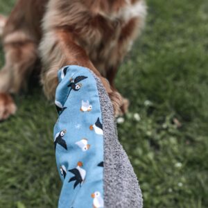 Muddy Paw Mitts